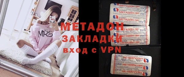 прущие грибы Алзамай