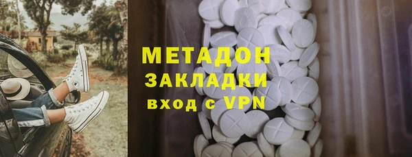 прущие грибы Алзамай
