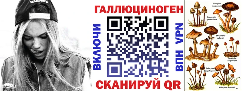 Псилоцибиновые грибы Psilocybine cubensis  omg как войти  Ясный 